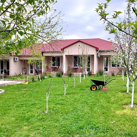 Cozy Family Cottages Vendam Exterior foto