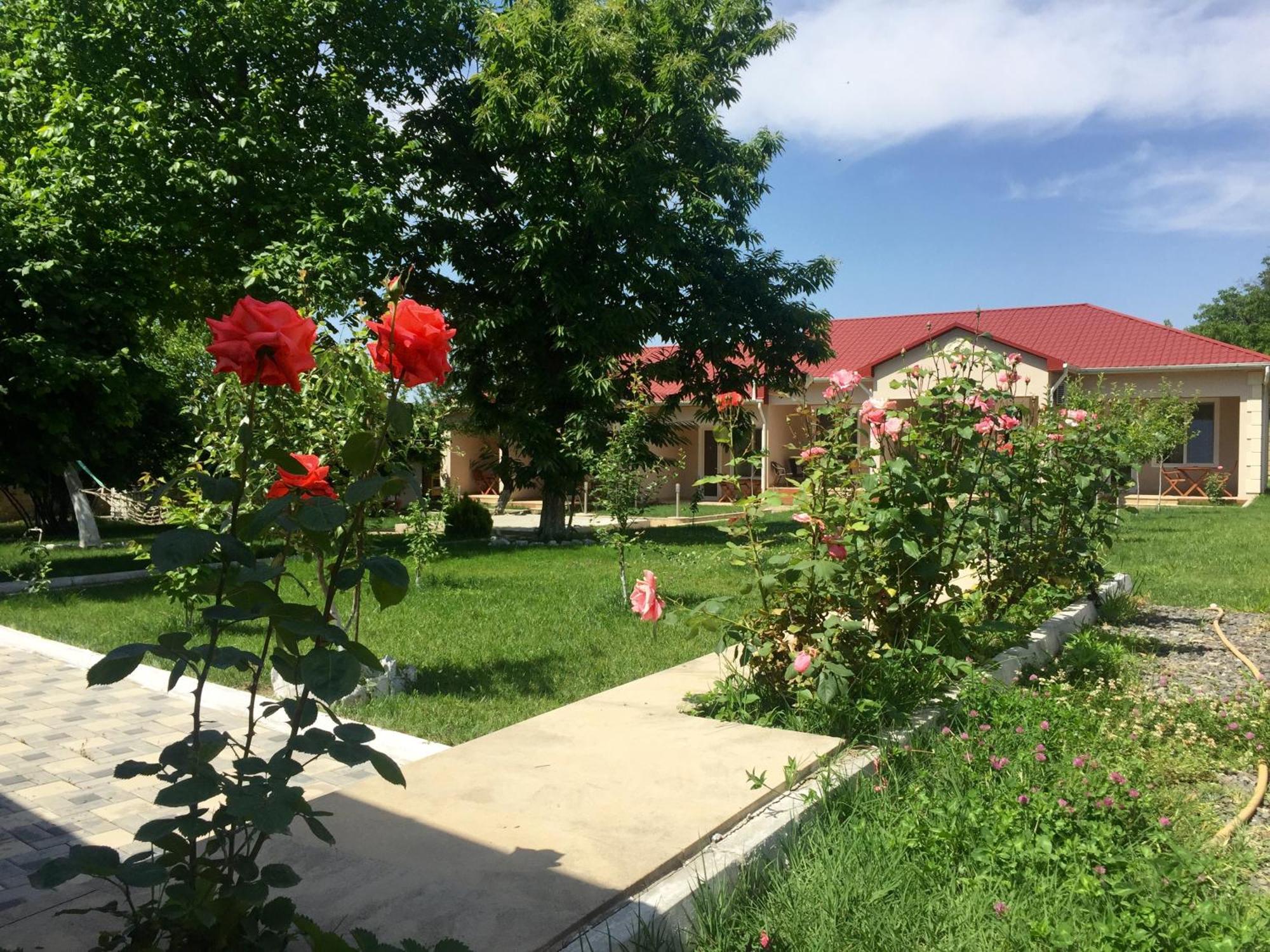 Cozy Family Cottages Vendam Exterior foto